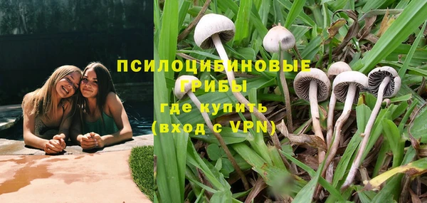 дживик Арсеньев