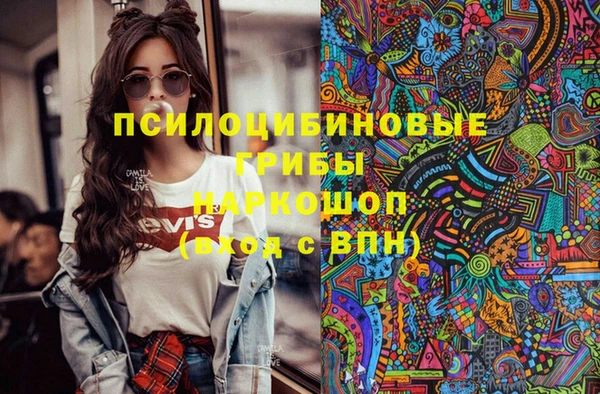 эйфоретик Аркадак