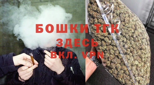 дживик Арсеньев