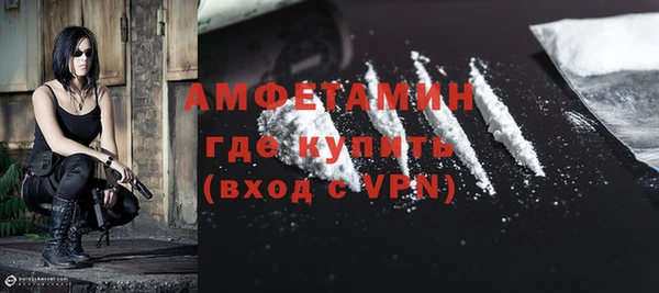 шишки Армянск