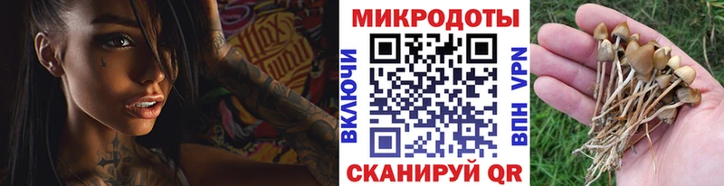 дарнет шоп  Олёкминск  Псилоцибиновые грибы мицелий 